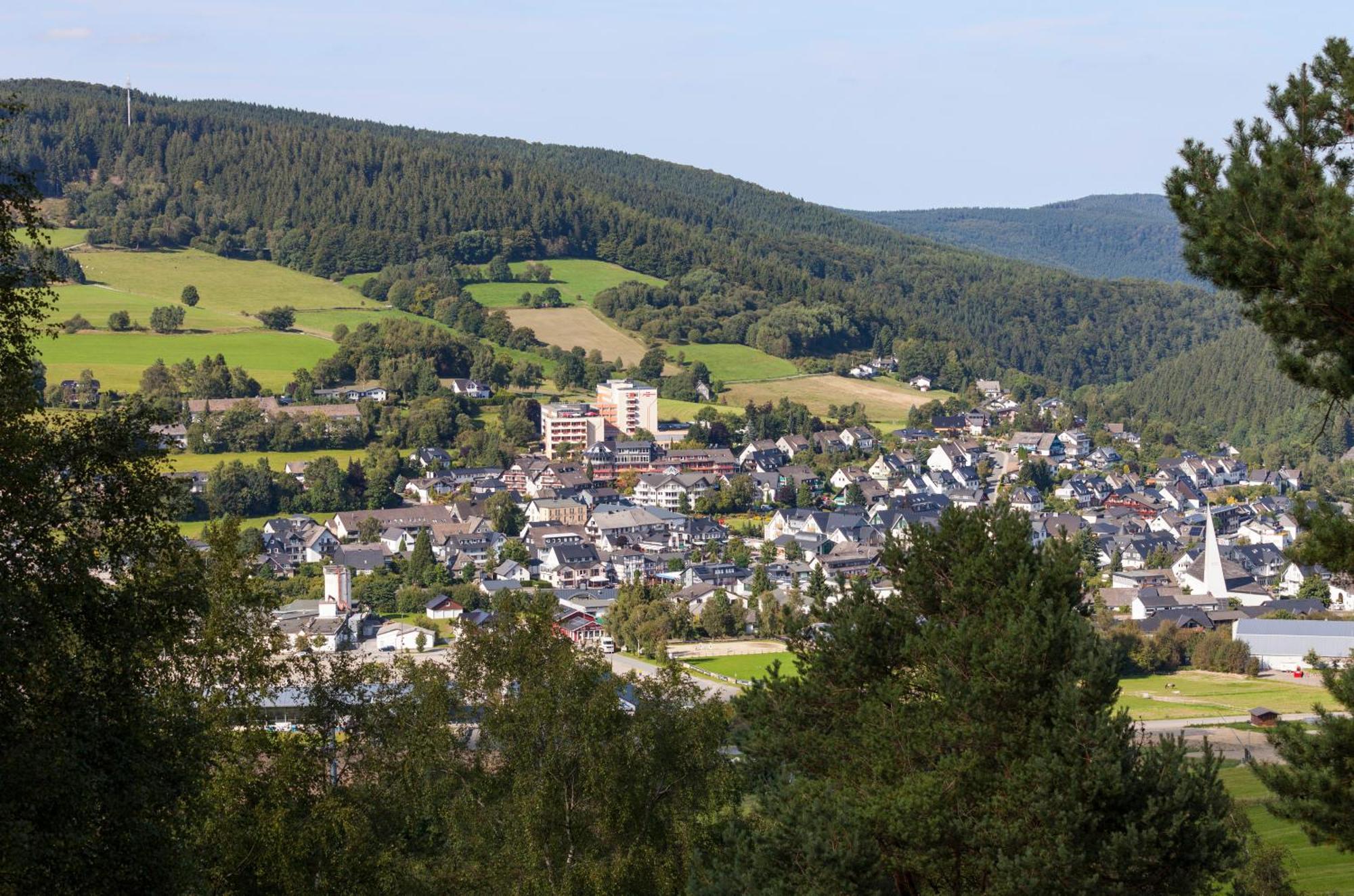Hochsauerland 2010 Hotel Willingen (Upland)