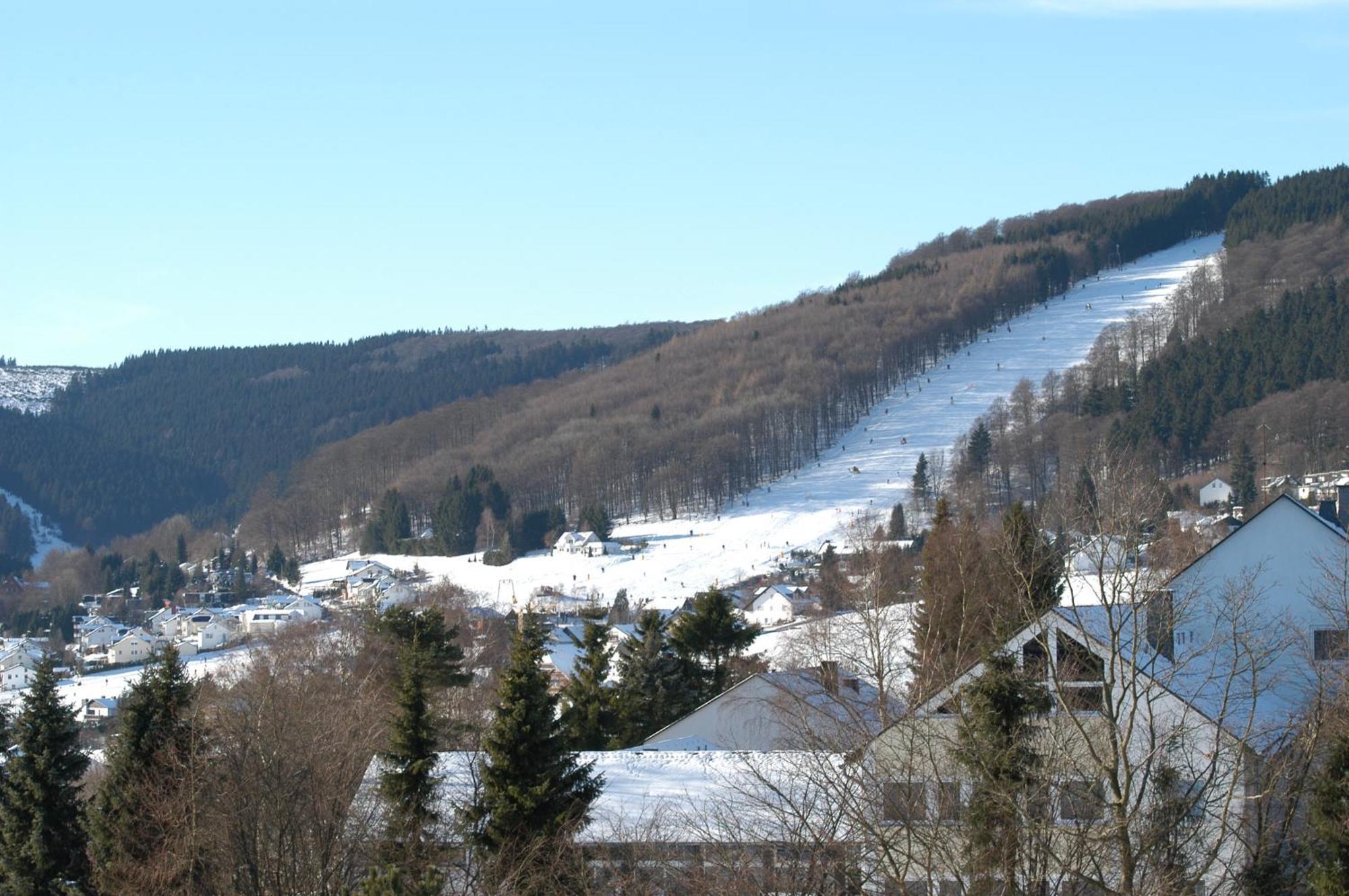 Hochsauerland 2010 Willingen (Upland)